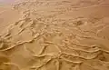 A dune formation on the coastline