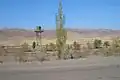 On the Kazakh border