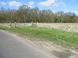 East Blean Woods