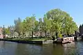 'Dodoens' (left to centre) lining north side of Eerste Marnixplantsoen, Amsterdam, 2017[10][11]