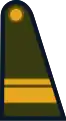 Sargento primero (Argentine Army)[15]