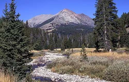 Electric Peak