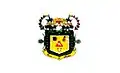 Flag of Entre Folhas