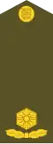 Major (Estonian Land Forces)[33]