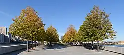 FDR park