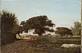 Farm in St.Tammany