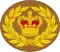 Warrant Officer Class 2