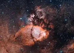 Fish Head Nebula (Photo: Carsten Frenzl)
