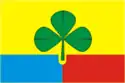 Flag of Agapovsky District