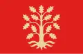 Flag of Agder County