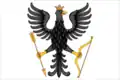 Flag of Albazino