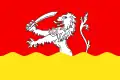 Flag of Anenii Noi