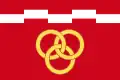 Flag of Babice