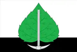 Flag of Beryozovsky