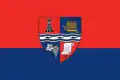 Flag of Bihor County