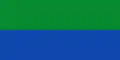 Flag of Carolina del Príncipe, Antioquia