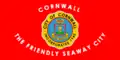 Flag of Cornwall