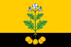 Flag of Falyonki
