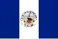 One of the two versions of the flag of Grand Rapids, commonly used as a civil flag.