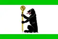 Flag of Jablonné nad Orlicí