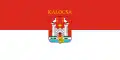 Flag of Kalocsa