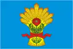Flag of Kamensky District