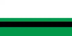 Flag of Kopys