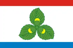 Flag of Krasnoznamensk