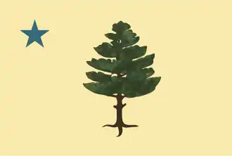 Former flag of Maine (1901–1909)