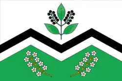 Flag of Moshkovo