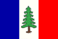 Flag of Nová Bělá