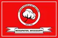 Flag of Noxapater, Mississippi