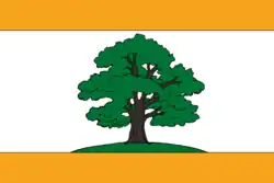 Flag of Pronsk