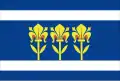 Flag of Provodov
