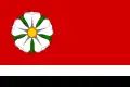 Flag of Růžová