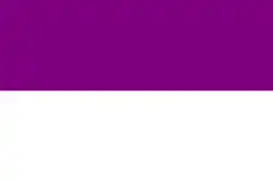 Flag of Rajpipla