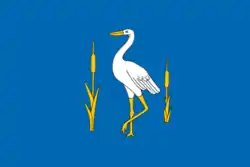 Flag of Romanovsky District