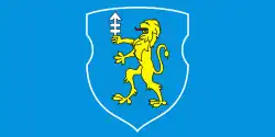 Flag of Slonim district