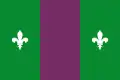 Flag of Sant Julià de Cerdanyola