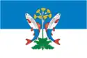 Flag of Shalinsky District