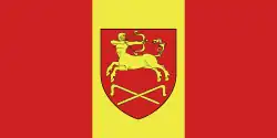 Flag of Staryya Darohi