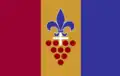 Flag of Stellenbosch