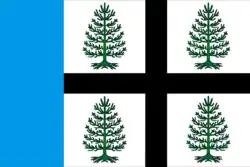 Flag