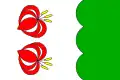 Flag of Svor