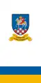 Flag of Tótszentmárton