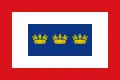 Flag of Tolú