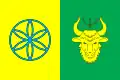 Flag of Turka Raion