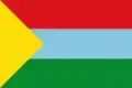 Flag of Ulloa, Colombia