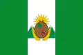 Flag of Villarrica, Tolima