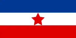 Yugoslav Partisans
